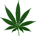 cannabis.gif