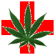 cannabis dispensary news